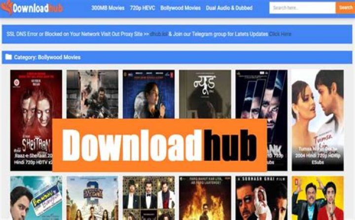 Downloadhub 300 MB: Your Go-To for Quick Video Saves and Streaming