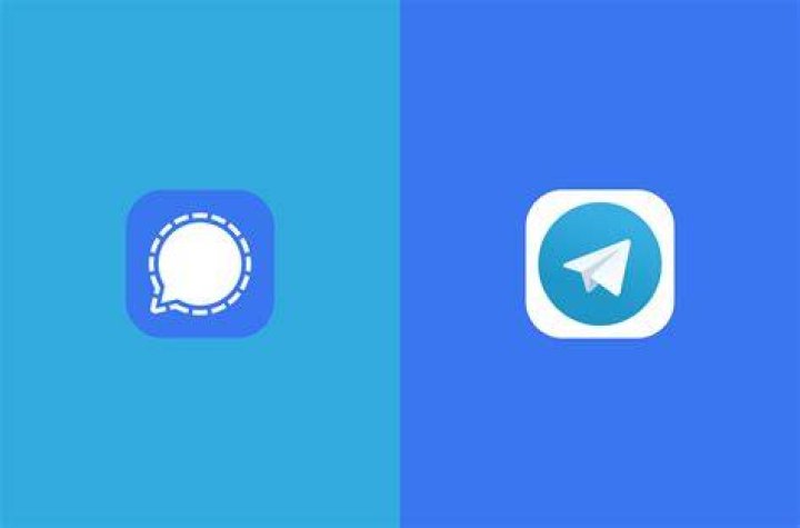 Exploring the Buzz Around Wasmo Telegram Link 2021
